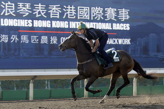 Harry Bull puts Benzini through his paces at Sha Tin.