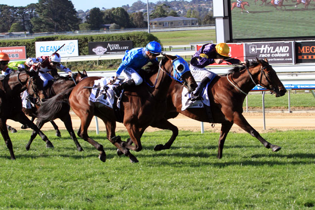 Berisha winning the Mornington Bmw Cup Berisha winning the Mornington Bmw Cup
