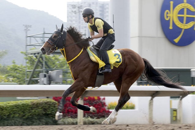 Big Arthur has been lively in Hong Kong