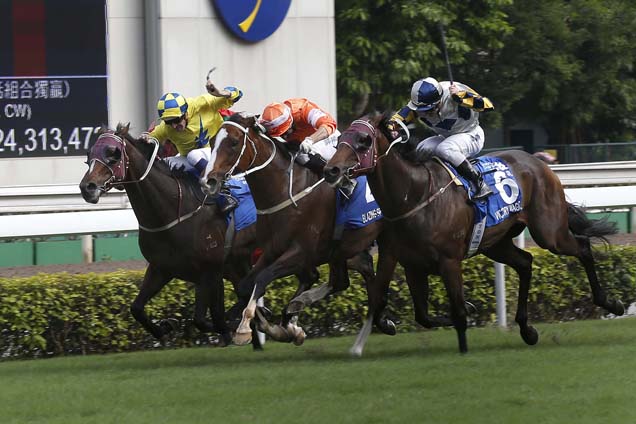 Blazing Speed (No. 4, in orange),wins the Standard Chartered Champions & Chater Cup (G1 2400m).