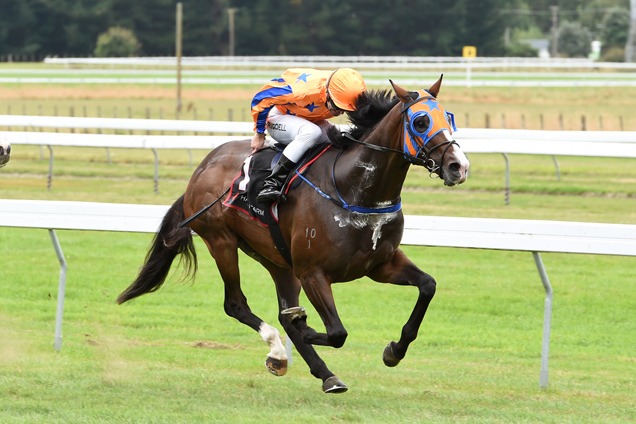 Bordeaux winning the Dominion Post St Leger Trial