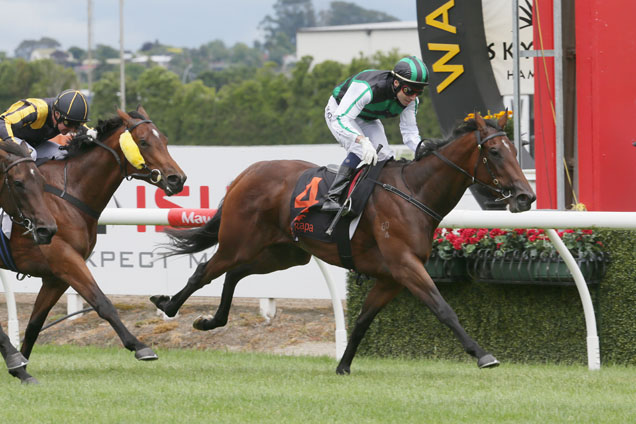 Caesour's Dream winning the Wentwood Grange 2yo