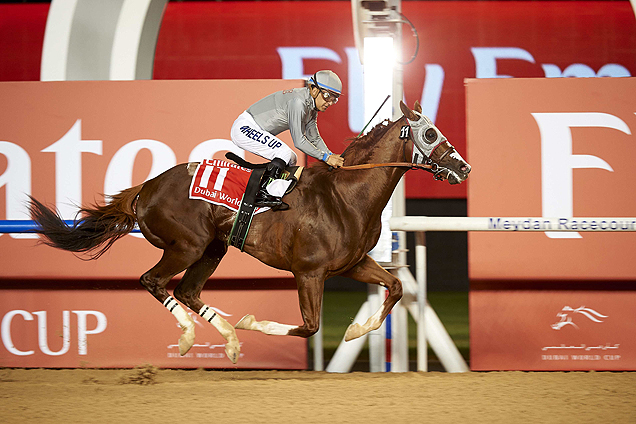 California Chrome winning the Dubai World Cup Sponsored By Emirates Airline