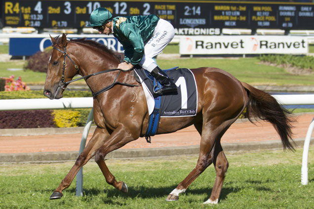 Capitalist will head to the 2016 Roman Consul Stakes after winning a barrier trial at Randwick on Tuesday.