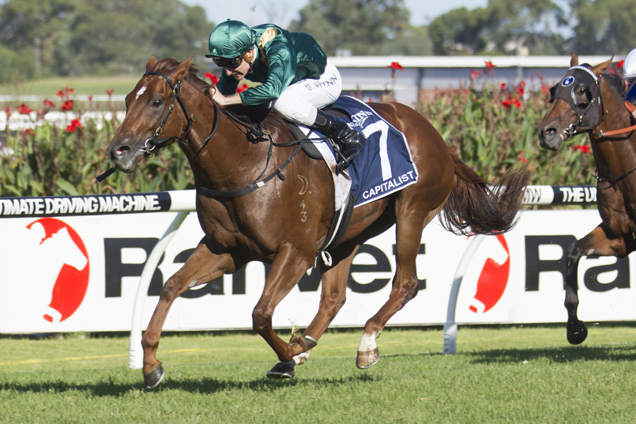Capitalist launches his spring campaign in the 2016 Missile Stakes at Randwick on Saturday.