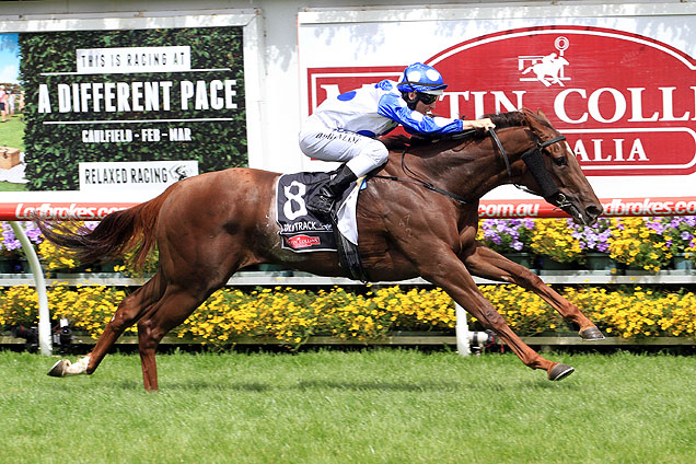 Catch A Fire winning the Angus Armanasco Stakes