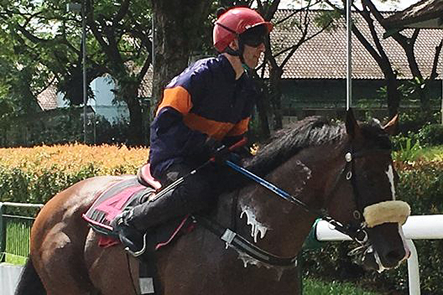 Chariots Of Fire (Vlad Duric) after his barrier trial.