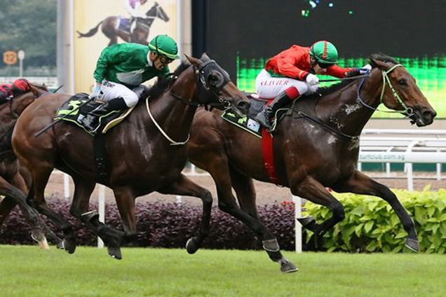 Chase winning the CHEVRON 2007 STAKES OPEN BENCHMARK 67