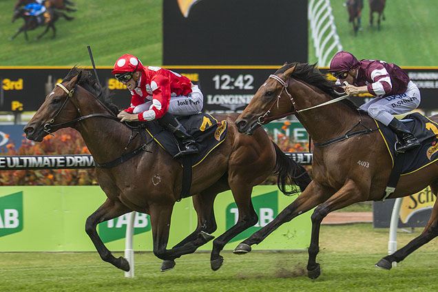 Chauffeur winning the Schweppes 2yo Hcp Chauffeur winning the Schweppes 2yo Hcp