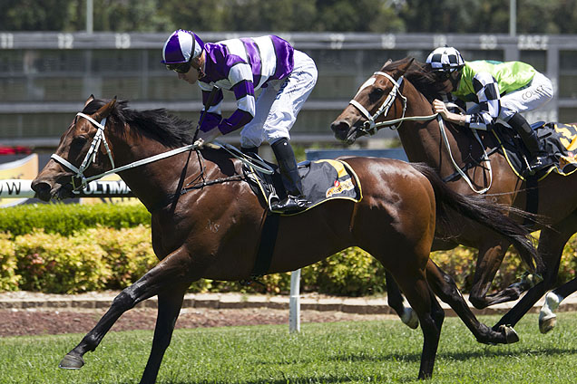 Chaussure winning the Schweppes (Bm67) Chaussure winning the Schweppes (Bm67)