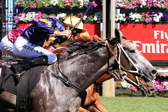 Chautauqua has been allocated the 58kg topweight for the Newmarket Handicap.
