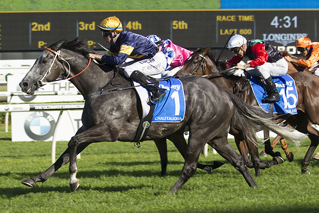 Chautauqua will join Buffering in the 2016 Chairman's Sprint Prize in Hong Kong.