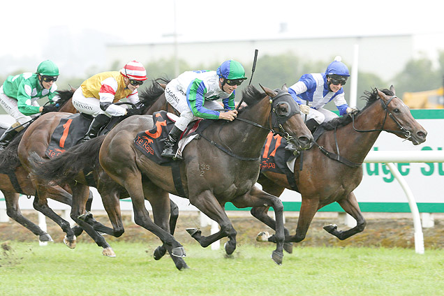 Coldplay wins at Te Rapa