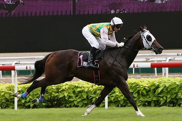 Conilad winning the SPEED BABY 2011 STAKES NOVICE