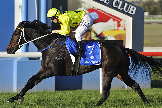 Danish Twist is aiming for a fifth straight victory in Saturday's 2016 Tattersall's Tiara.