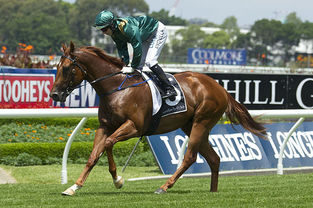 Defcon finished runner-up in a Rosehill barrier trial.
