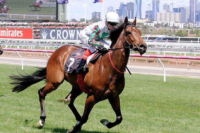 Artie and Williams combine down the Flemington straight