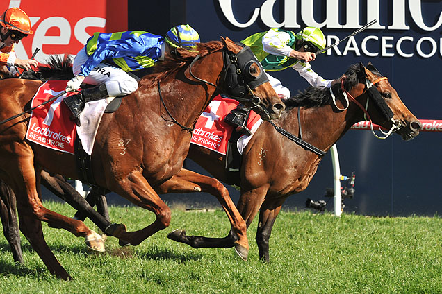 Divine Prophet holds out Seaburge to win the 2016 Caulfield Guineas