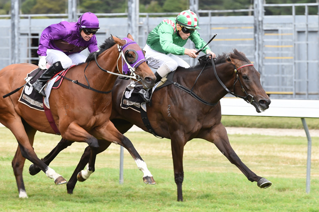 Duchess Kate (inside) wins the Desert Gold Stakes