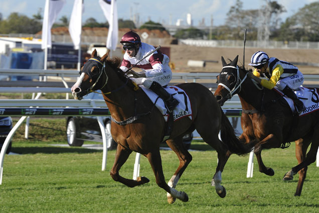 Eagle Way winning the Channel 7 Queensland Derby