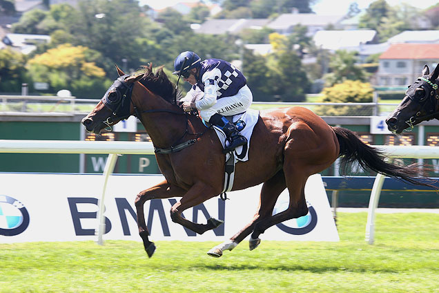 El Pistola winning the Barneswood Farm Nathans Mem.