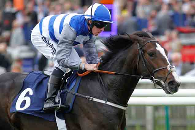 Eminent winning the John Banks Renault Cambridge EBF Stallions Maiden Stakes (Plus 10) Eminent winning the John Banks Renault Cambridge EBF Stallions Maiden Stakes (Plus 10)