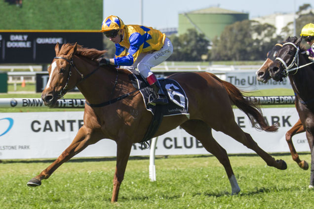 Extensible looks a winning hope again in Sydney