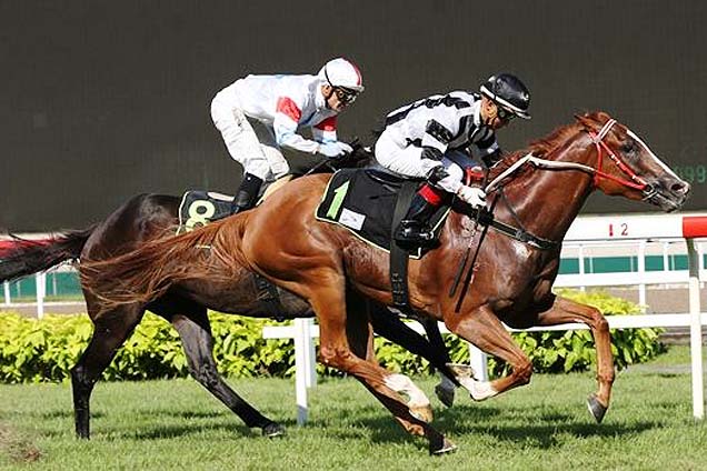 Famous Artist winning the JAMAL MALIK 2011 STAKES OPEN BENCHMARK 67