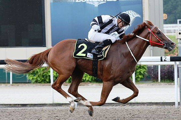 Famous Artist winning the KRANJI STAKES C