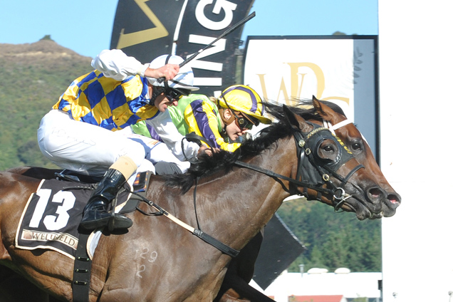 Fanatic(outside) winning the Wellfield New Zealand Oaks