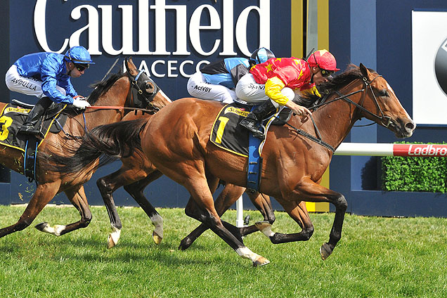 First Seal winning the Tristarc Stakes