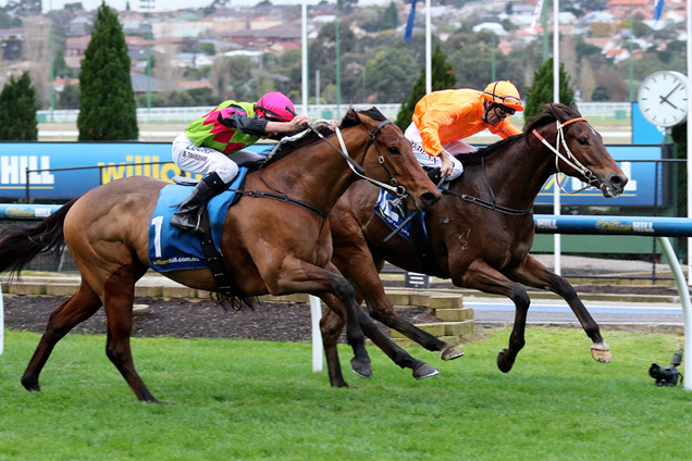 Firsthand (orange) wins at Moonee Valley