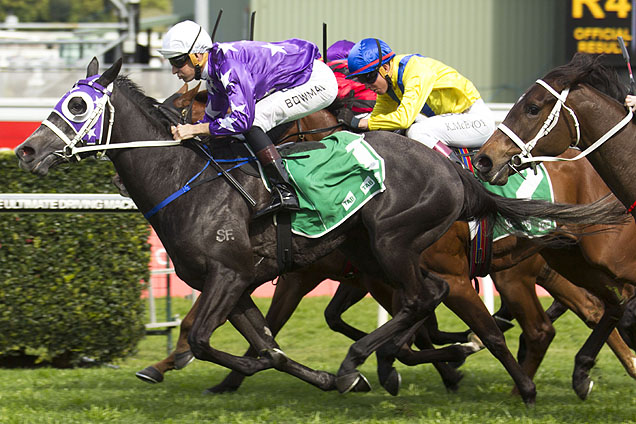 Foxplay winning the Tea Rose Stakes