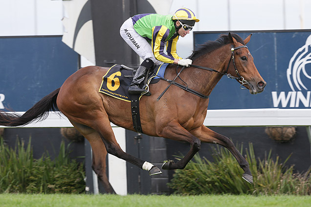 Francaletta winning the Heart Of Hawke's Bay Spec Mdn Francaletta winning the Heart Of Hawke's Bay Spec Mdn