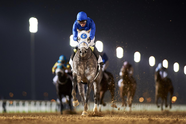 Frosted sets himself up as a Dubai World Cup contender with impressive victory in the Group 2 Al Maktoum Challenge Round 2