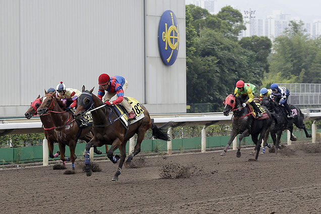 With Olivier Doleuze on board, Gun Pit (red cap and blue silk) is in action in a 1200m all-weather track barrier trial at Sha Tin.