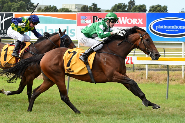 Girl Of My Dreams winning the Platinum Homes Taranaki Cup