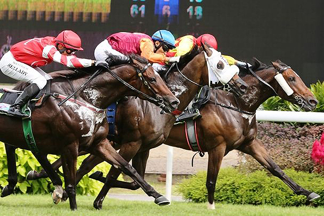 Gold Crown(on the rails) and Know Each Other ( blue cap) share the spoils in Race 6 winning the KRANJI STAKES D