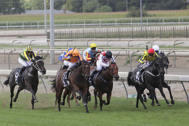 Gold Rush winning the J Swap Matamata Breeders' Stks