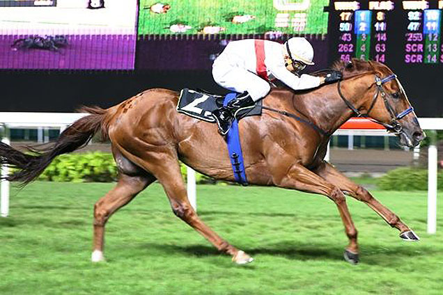 Golden Curl winning the KRANJI STAKES C