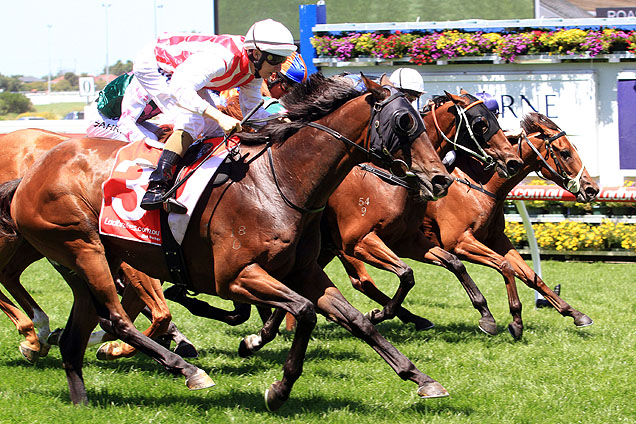 Golden Mane presents each way value at Caulfield