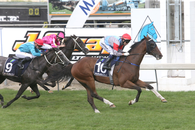 Guarantor winning the M Ewen & Assoc. Kaimai Stakes