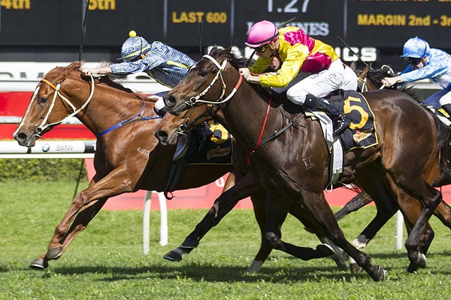 Guard Of Honour can win in Brisbane