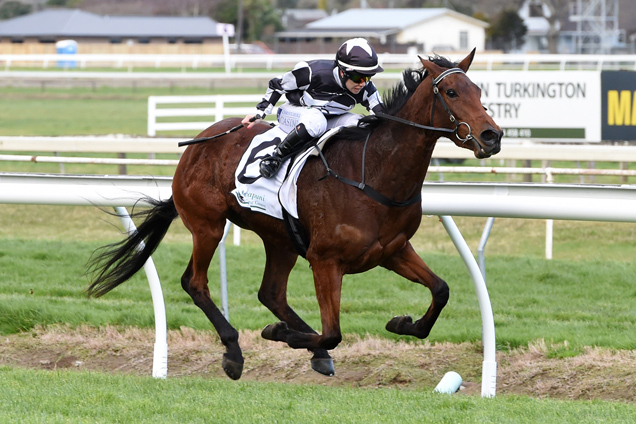 Gypsy Fair winning the Merial Ancare Marton Mile