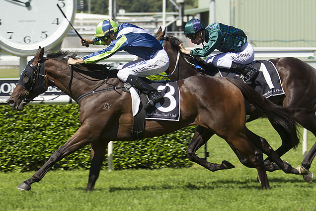 He's Our Rokkii winning the Carbine Club Stakes