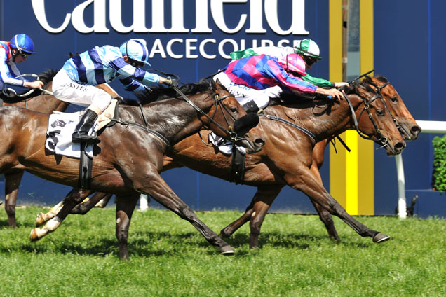 Hear The Chant winning the Thoroughbred Club Stakes