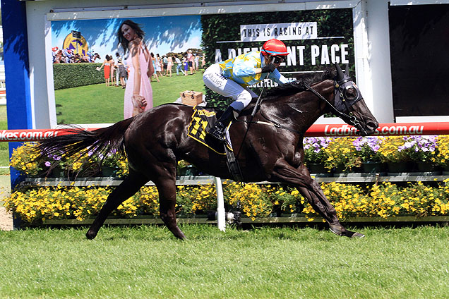 Heatherly winning the Schweppes Rubiton Stakes