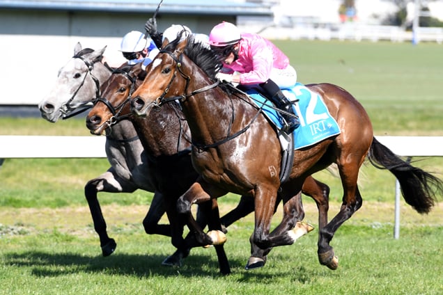Highlad winning the West Brook Winery Mdn