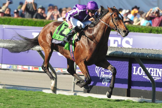 Globetrotter Highland Reel looks the one in the Vase