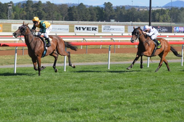 Hippopus wins the Canberra Cup